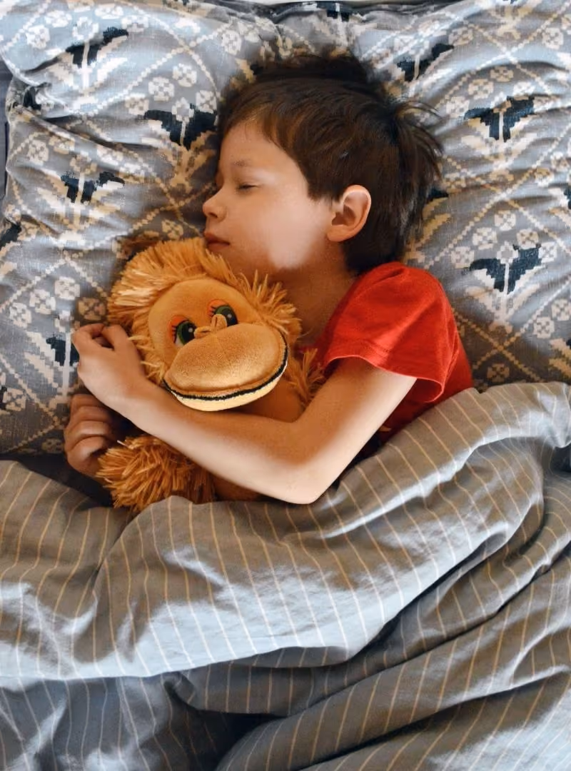 CLÍNICA DO SONO INFANTIL: AVALIAÇÃO, MANEJO E ORIENTAÇÃO FAMILIAR